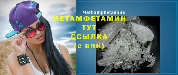гидра Вяземский