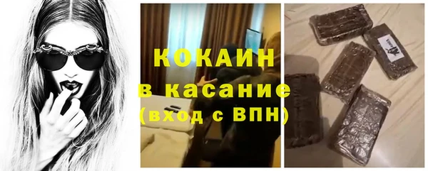 гидра Вяземский