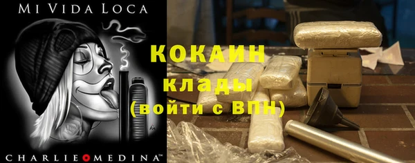 гидра Вяземский