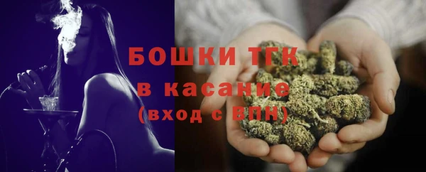 гидра Вяземский