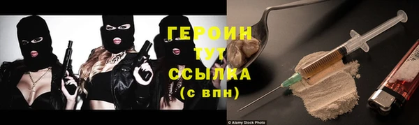 гидра Вяземский