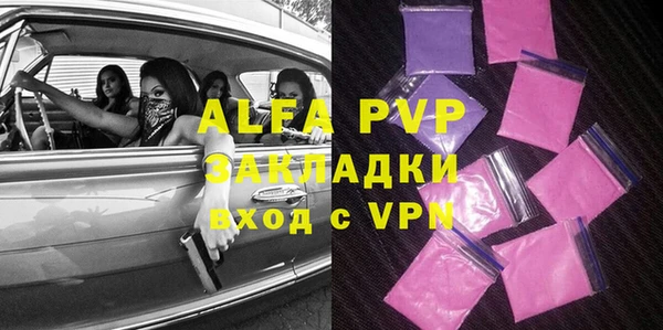 гидра Вяземский