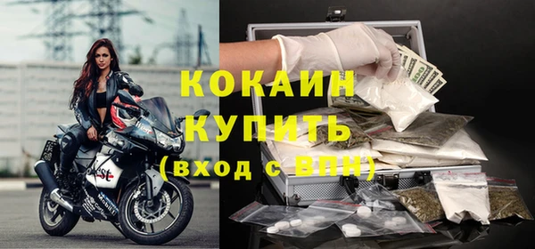 гидра Вяземский