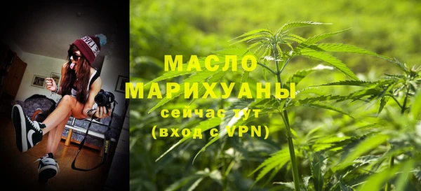 гидра Вяземский