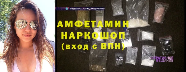 гидра Вяземский