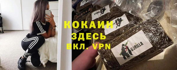 гидра Вяземский