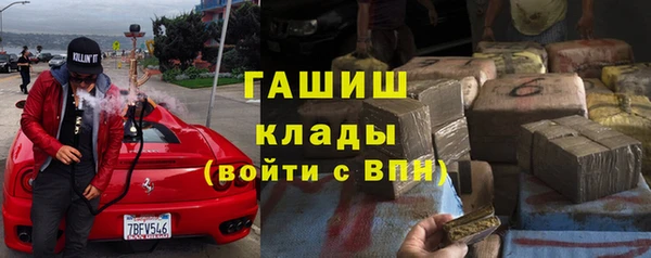 гидра Вяземский