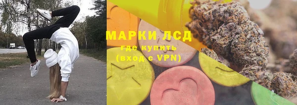 гидра Вяземский