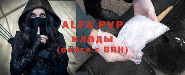 гидра Вяземский