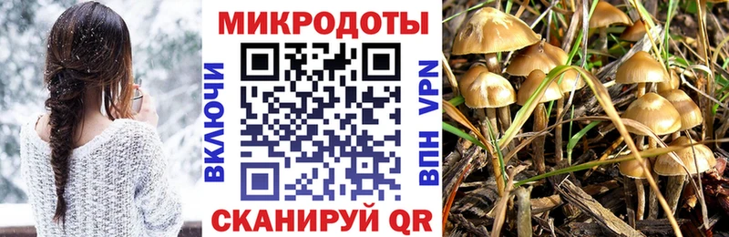 МЕГА ССЫЛКА  купить наркоту  Игарка  Галлюциногенные грибы Cubensis 